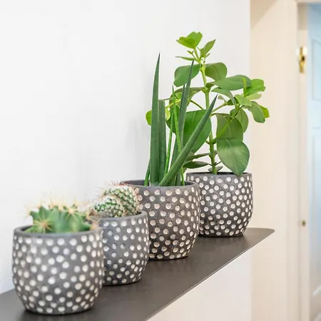 Palazzo Garibaldi Luxury & Парма