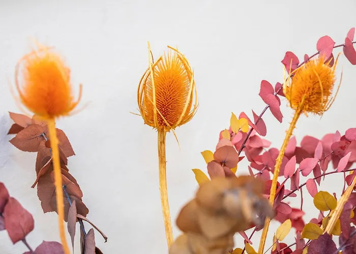 Guest house Palazzo Garibaldi Luxury &